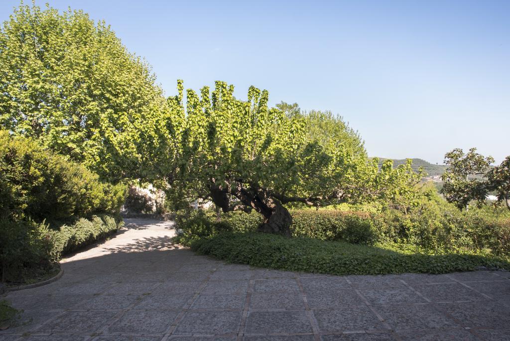Agriturismo La Vecchia Quercia San Cipriano Picentino Exterior photo